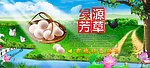 绿色食品