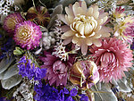 百花争艳