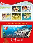 珊瑚旅游区 外页