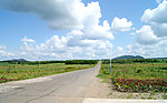 大庆油田农场一景