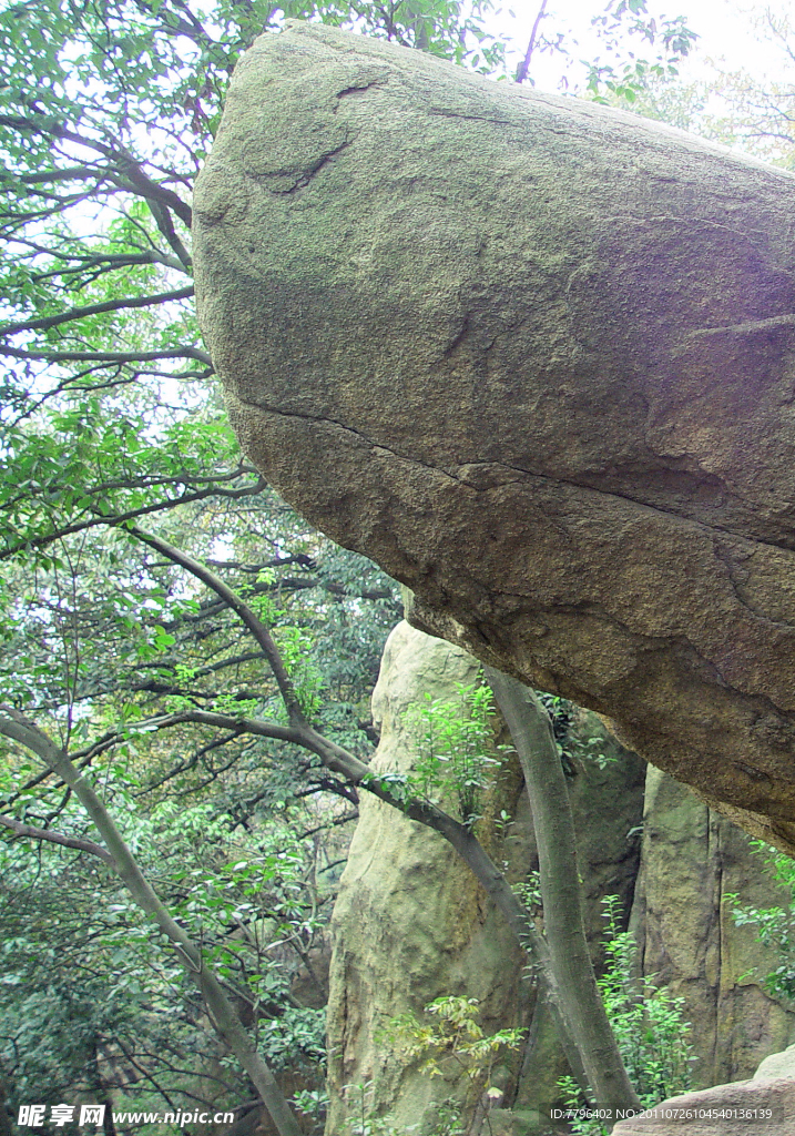 风景