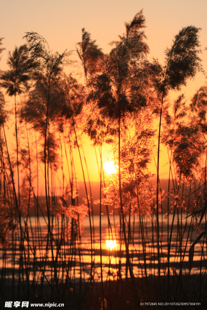 夕阳