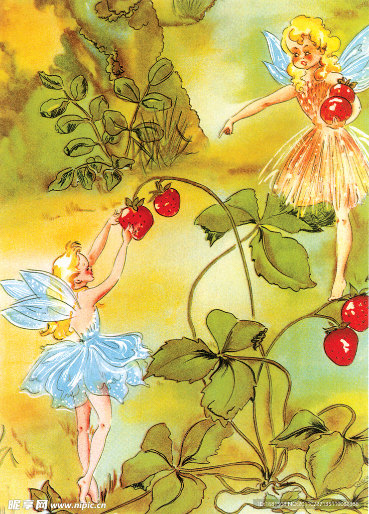 摘草莓的仙女
