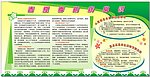 春夏季防病常识 板报