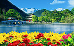 自然风景