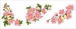蝶恋花