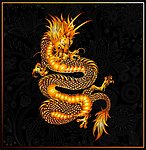 中国龙纹花纹