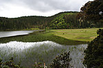 青山绿水