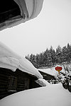 雪乡风光