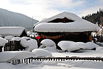 雪景