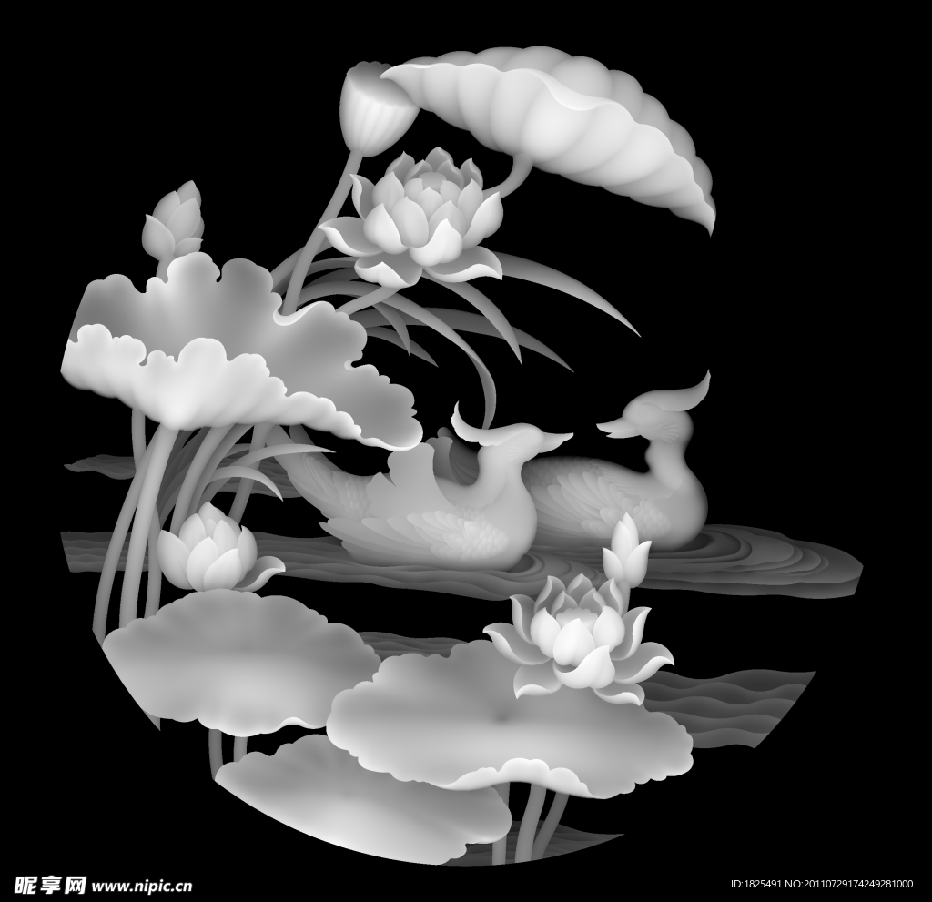灰度图 荷花
