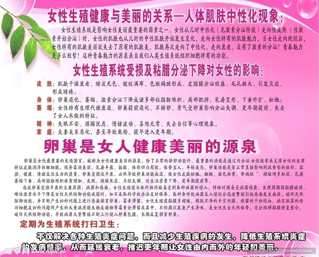 女性健康海报设计