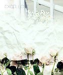 婚纱照模板