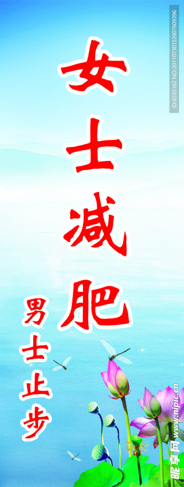 女士减肥 荷花