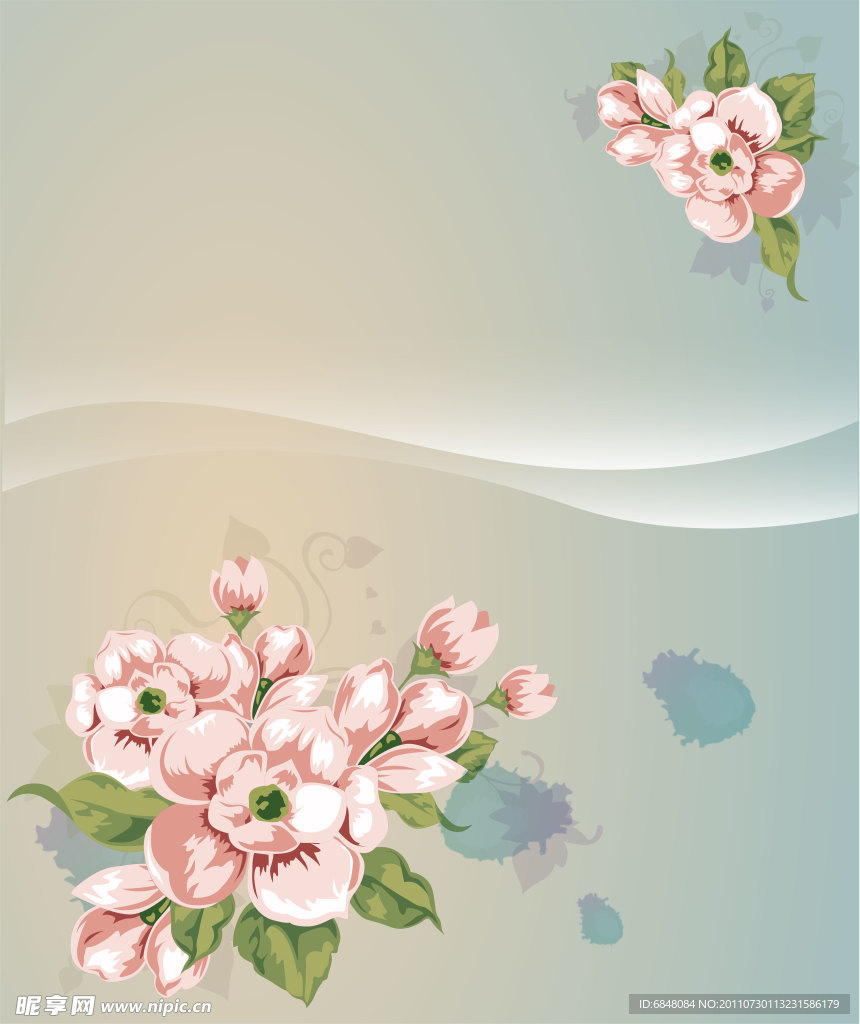 牡丹