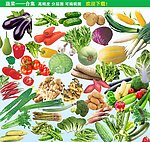 蔬菜合集 天然 绿色食品 蔬菜