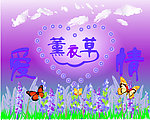 薰衣草