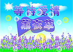 薰衣草