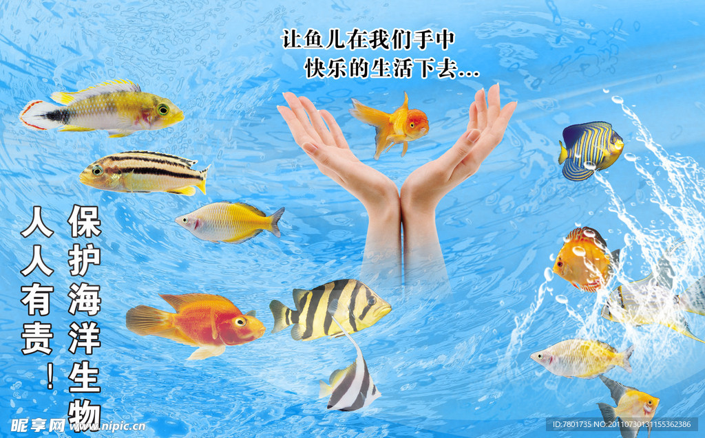 保护海洋鱼类宣传海报
