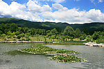青山绿水