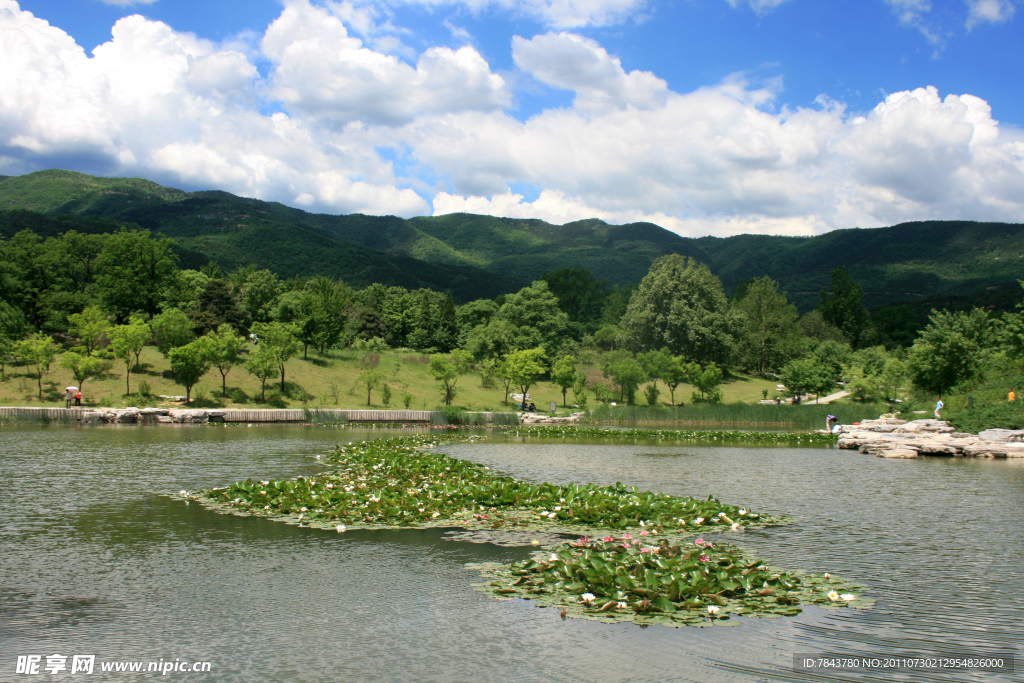 青山绿水