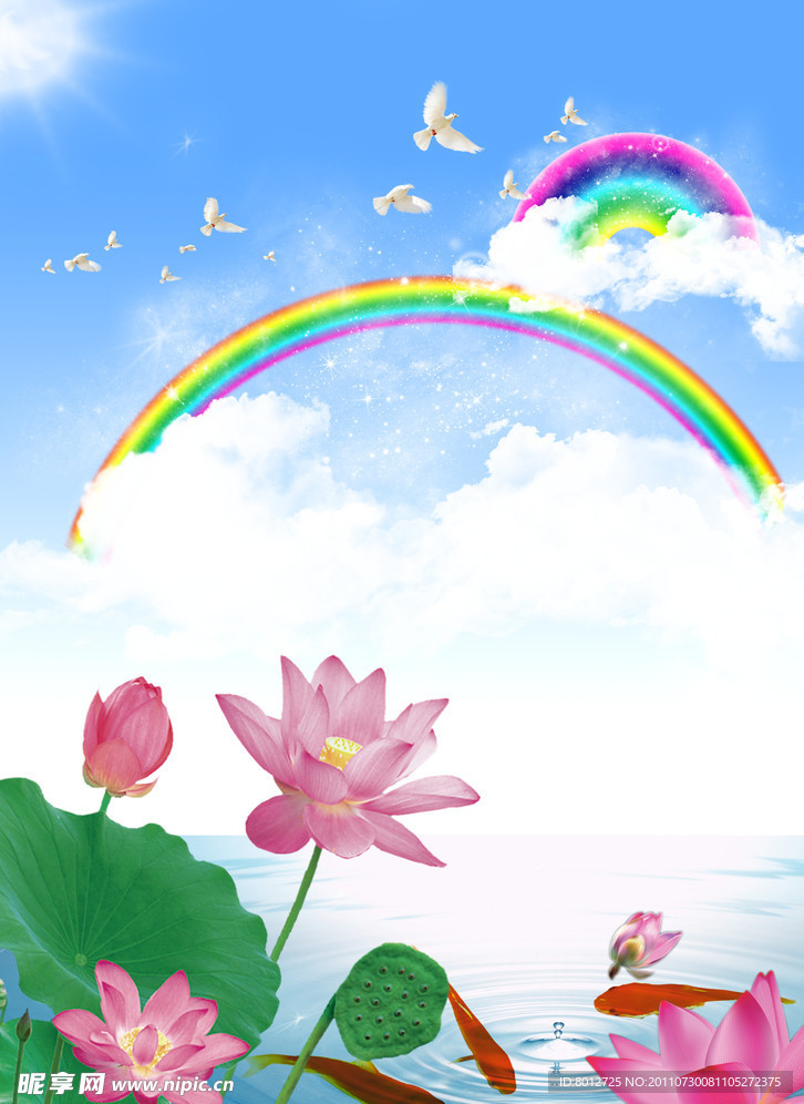 荷花