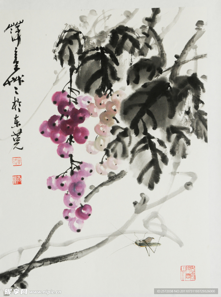 葡萄小调
