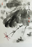 莲塘小景