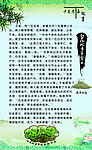 中草药小故事 展板