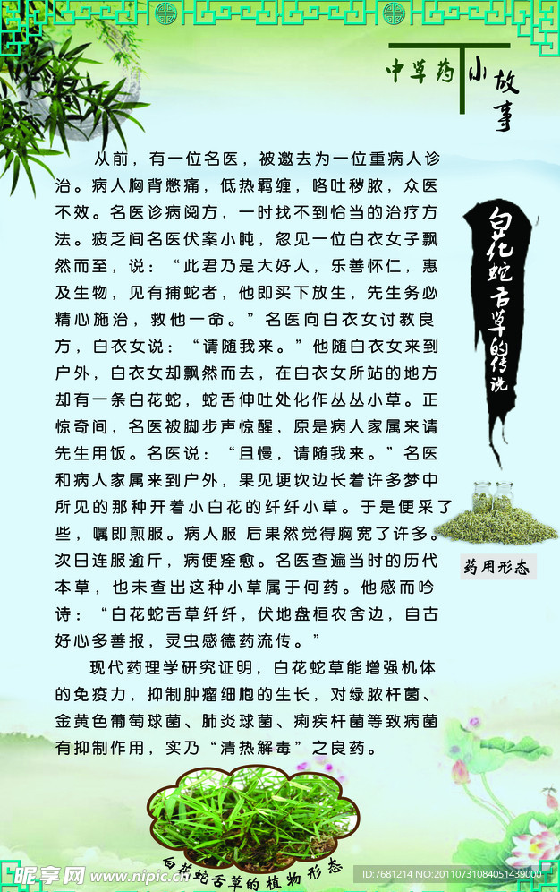 中草药小故事 展板