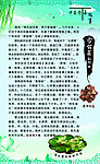 中草药小故事展板