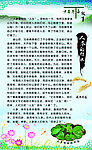 中草药小故事 人参