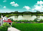 田园风景