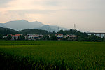 田园风光