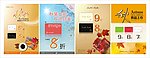 秋装新品促销