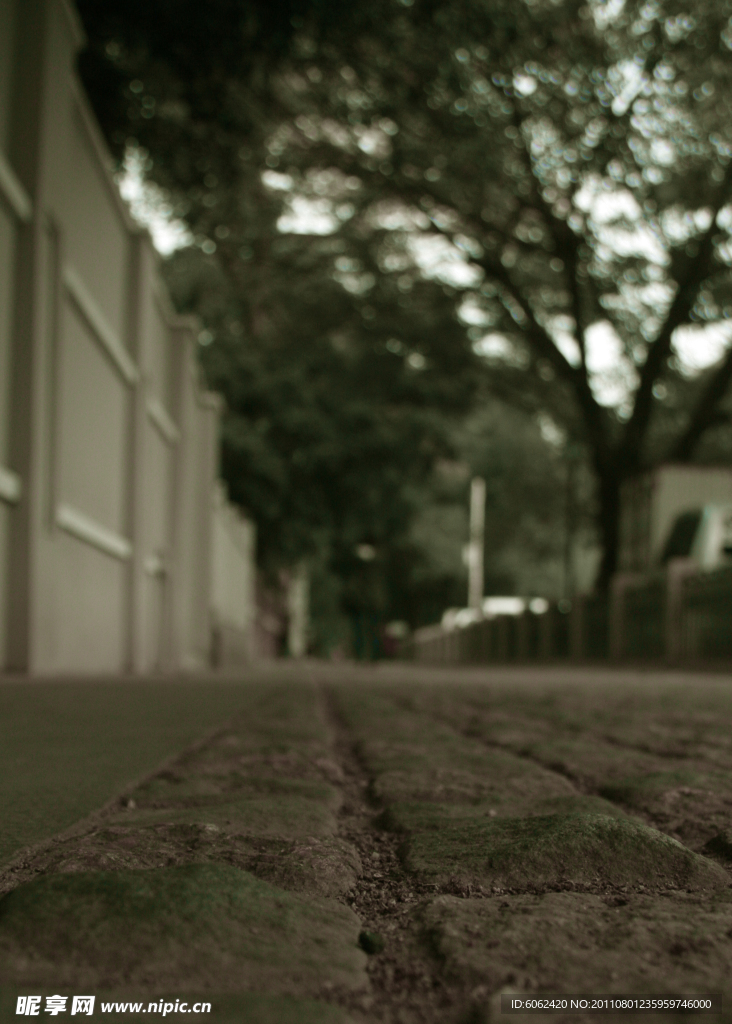沙面路