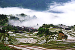 梯田美景