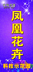 凤凰花卉