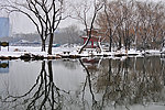 冬景