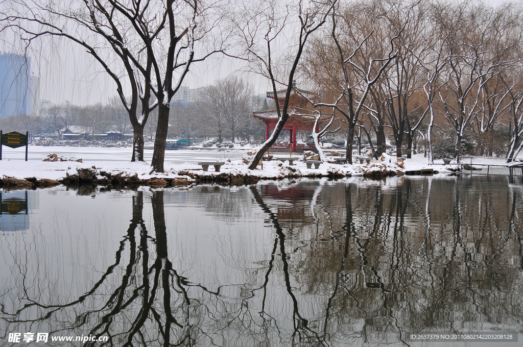 冬景