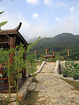 古琴文化旅游节