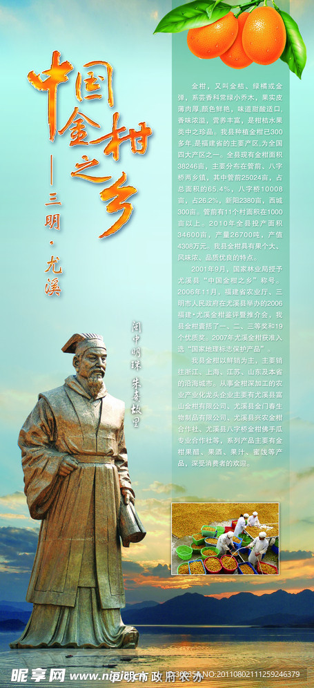 金柑X展架