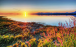 夕阳湖泊美景