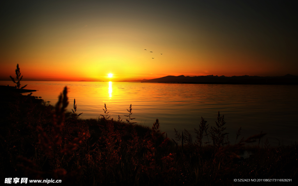 夕阳湖景