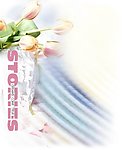 婚纱照模板