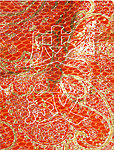 皮纹