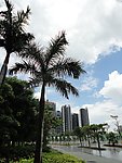 深圳风景