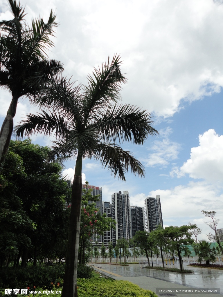 深圳风景