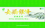女娲银峰绿茶