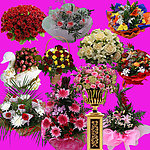 鲜花